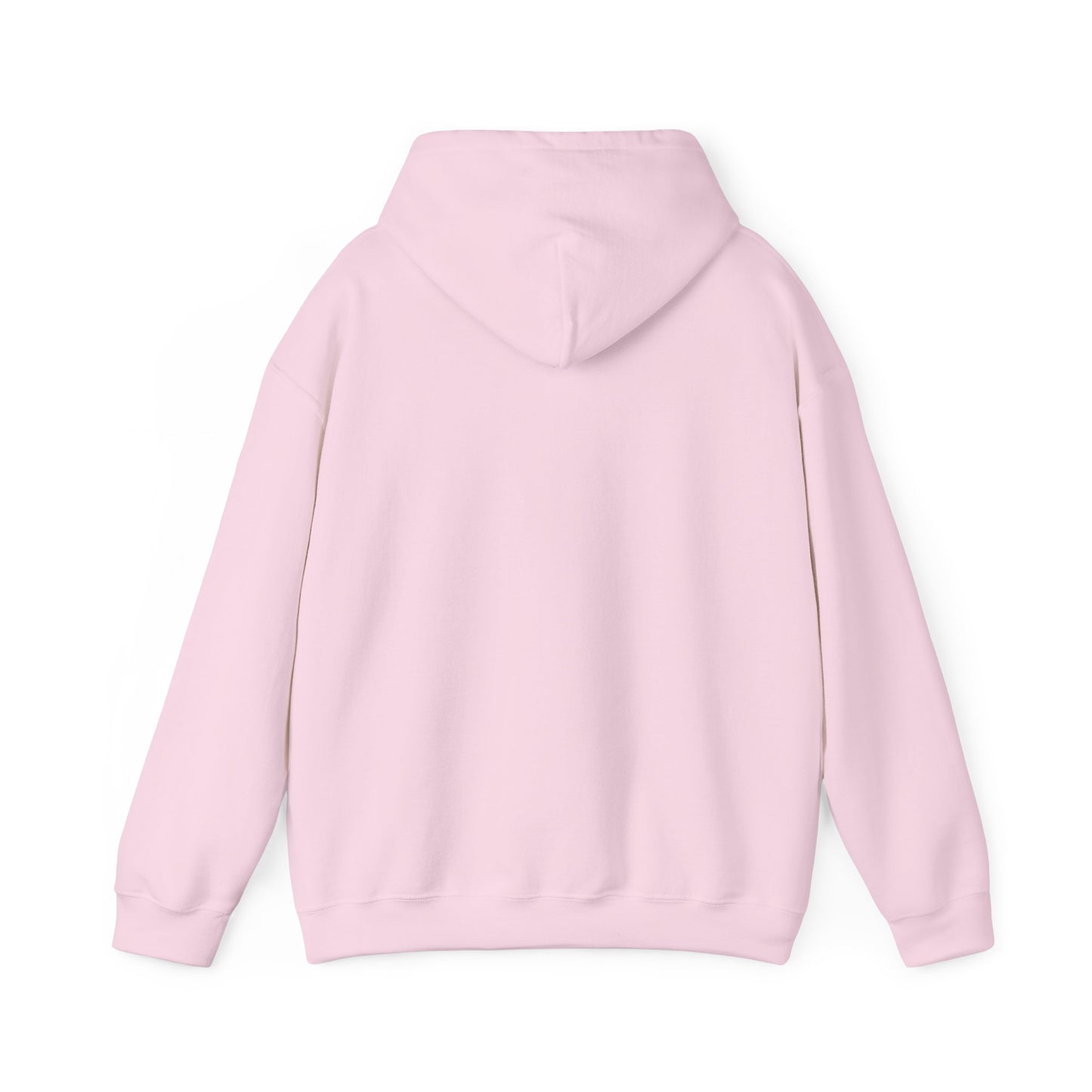 Lion Line Art Hoodie — 'Adventure Begins' Minimalist Graphic Pullover