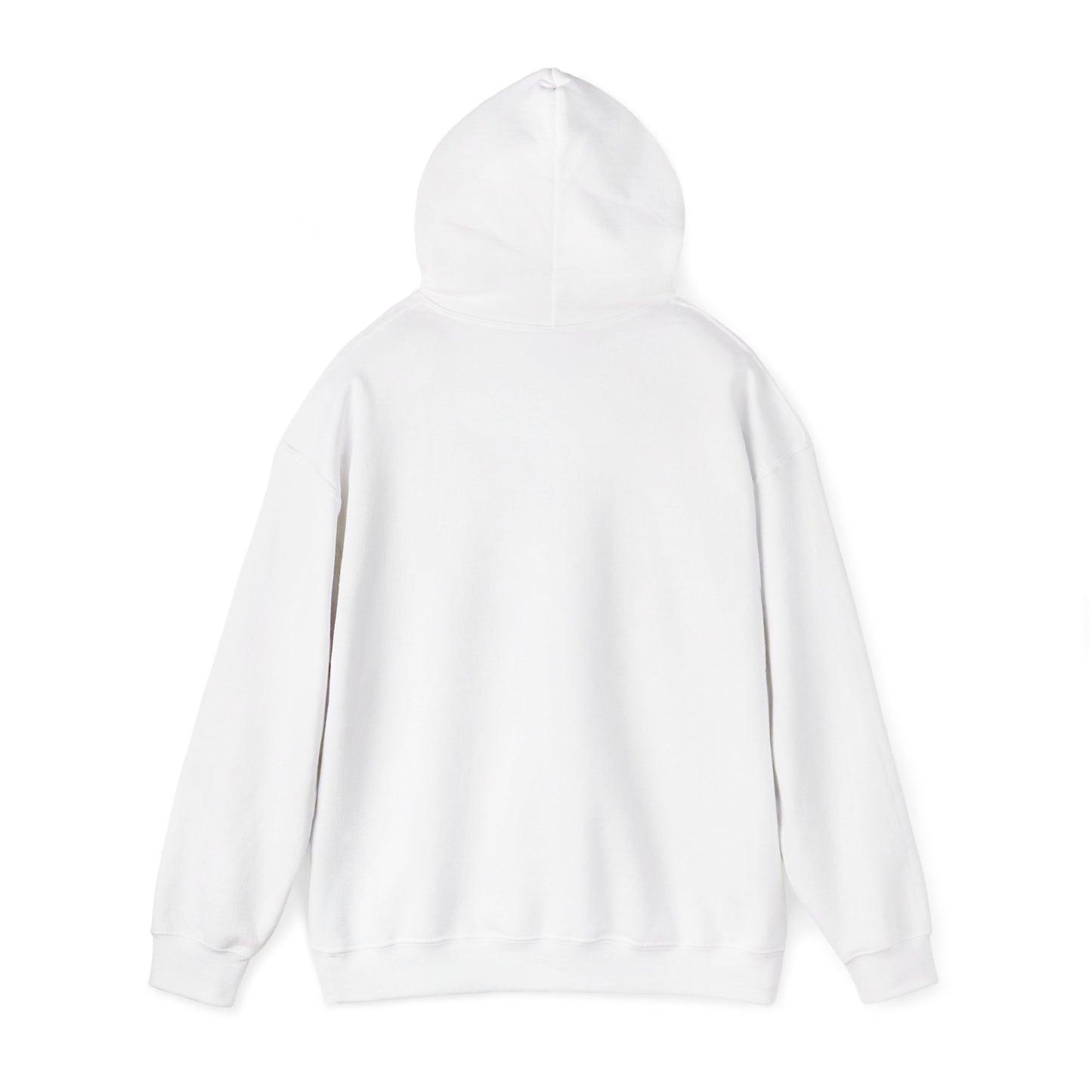 Lion Line Art Hoodie — 'Adventure Begins' Minimalist Graphic Pullover