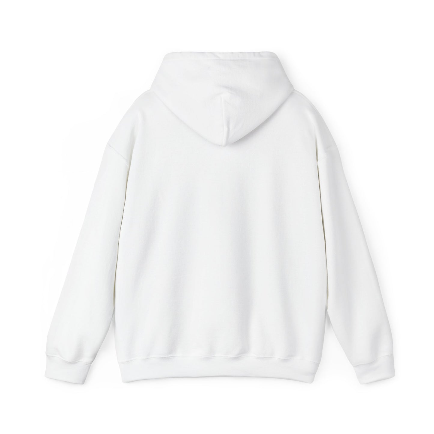 Lion Line Art Hoodie — 'Adventure Begins' Minimalist Graphic Pullover