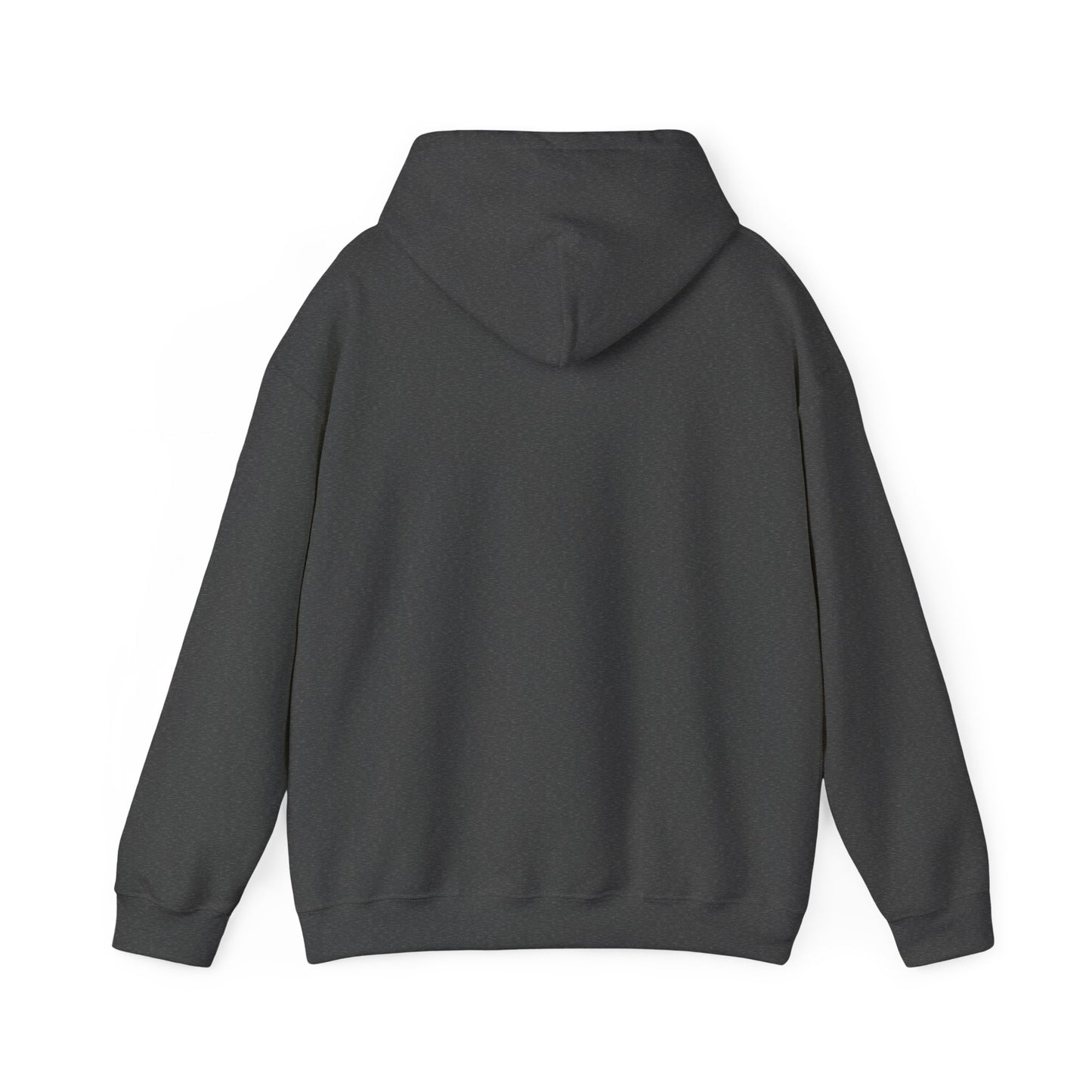 Lion Line Art Hoodie — 'Adventure Begins' Minimalist Graphic Pullover
