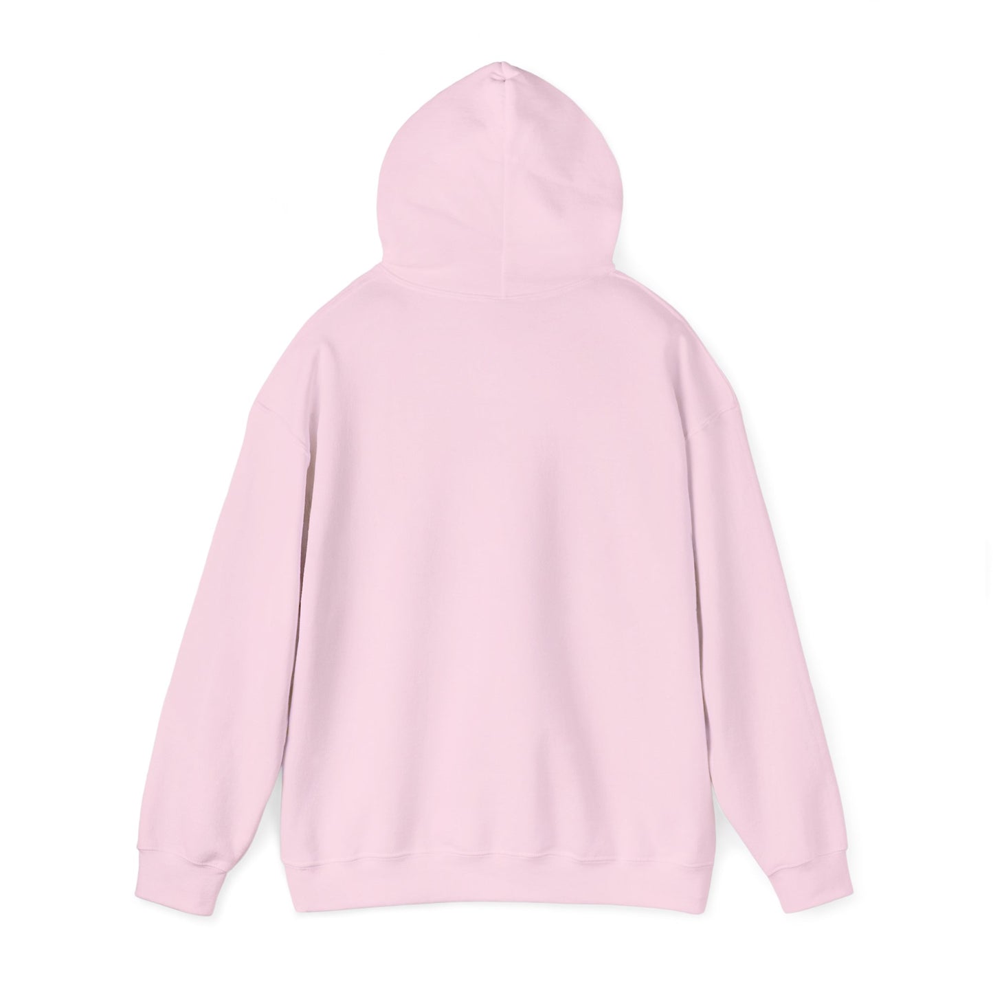 Lion Line Art Hoodie — 'Adventure Begins' Minimalist Graphic Pullover
