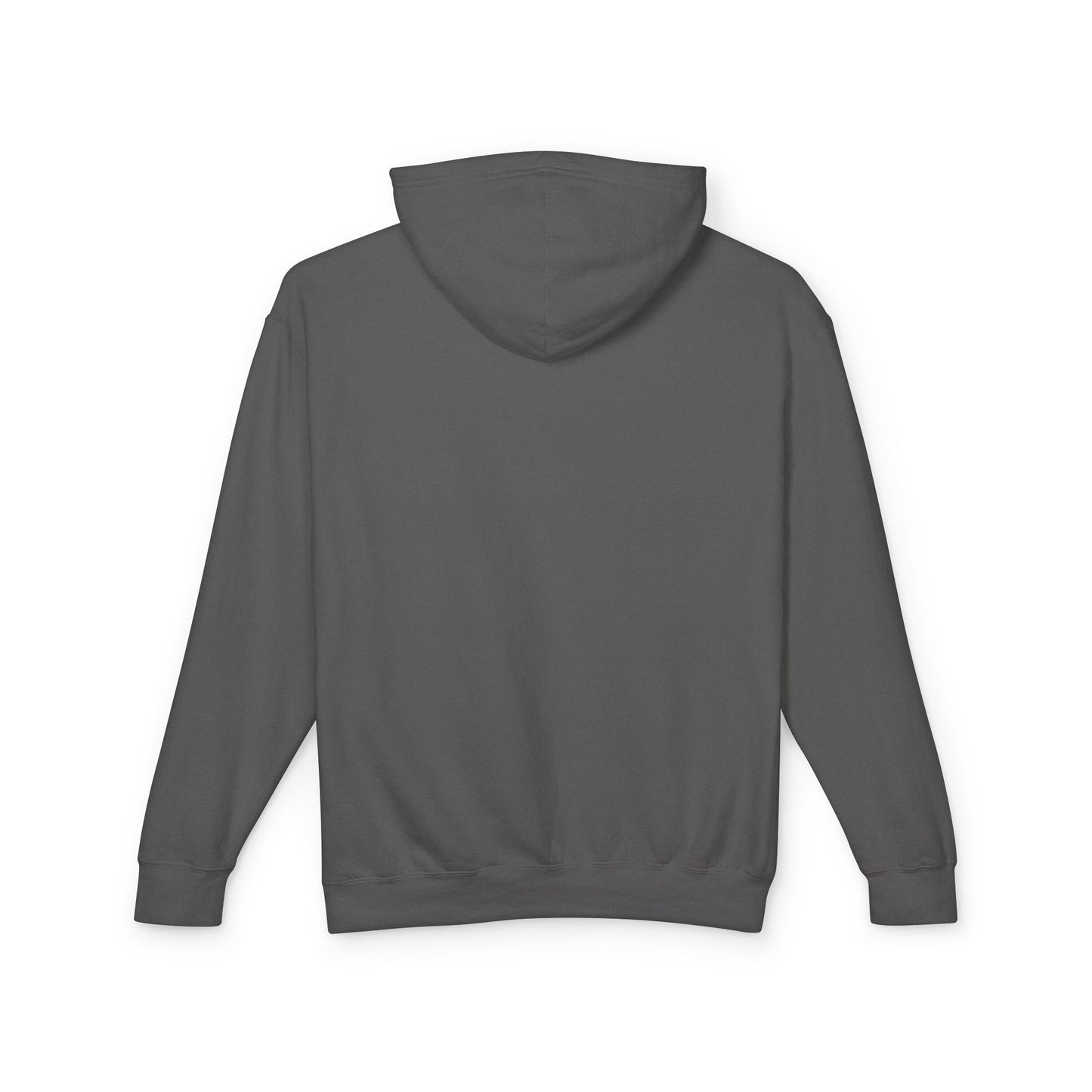 Lion of Judah Hoodie — Christian Faith Graphic Hooded Sweatshirt