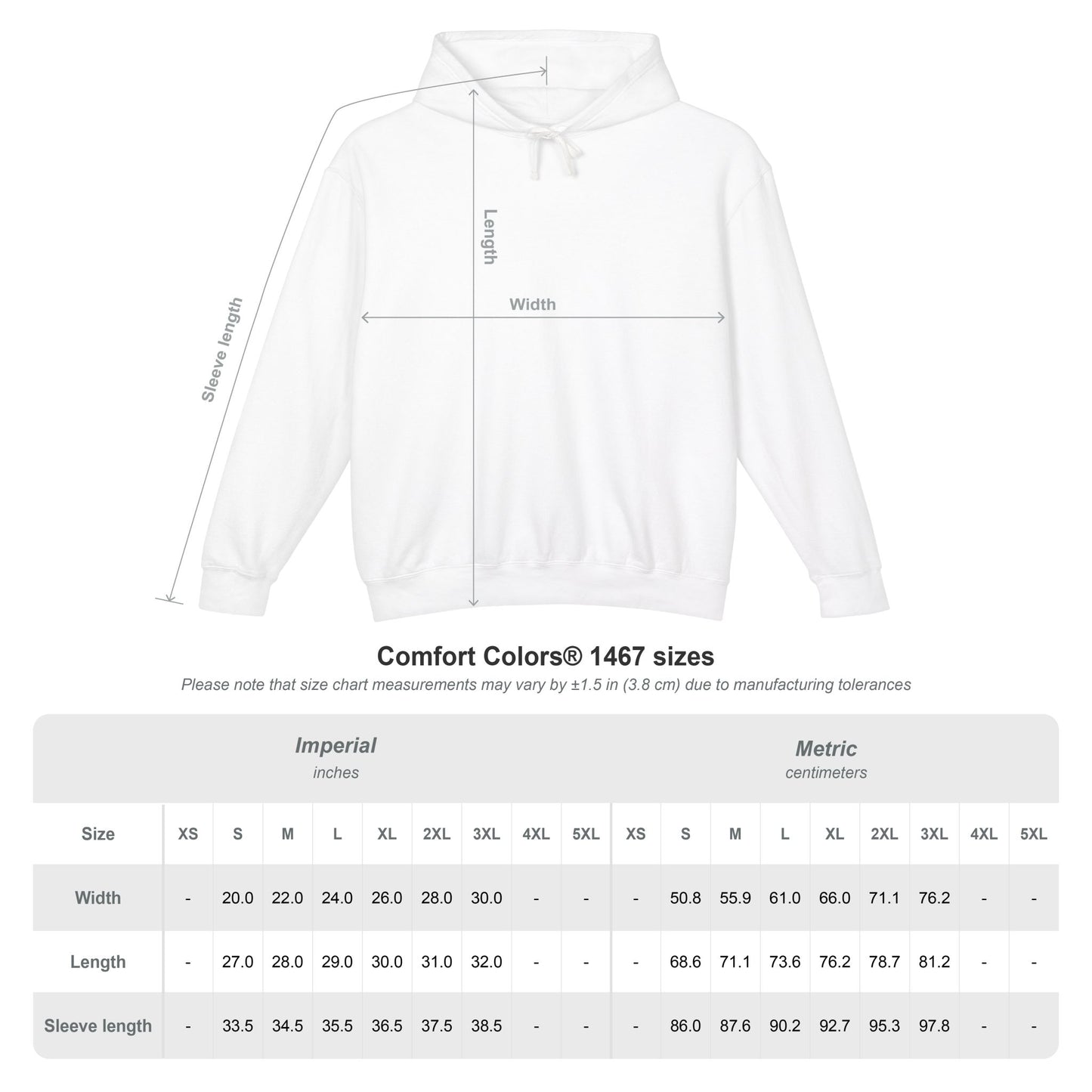 Lion of Judah Hoodie — Christian Faith Graphic Hooded Sweatshirt