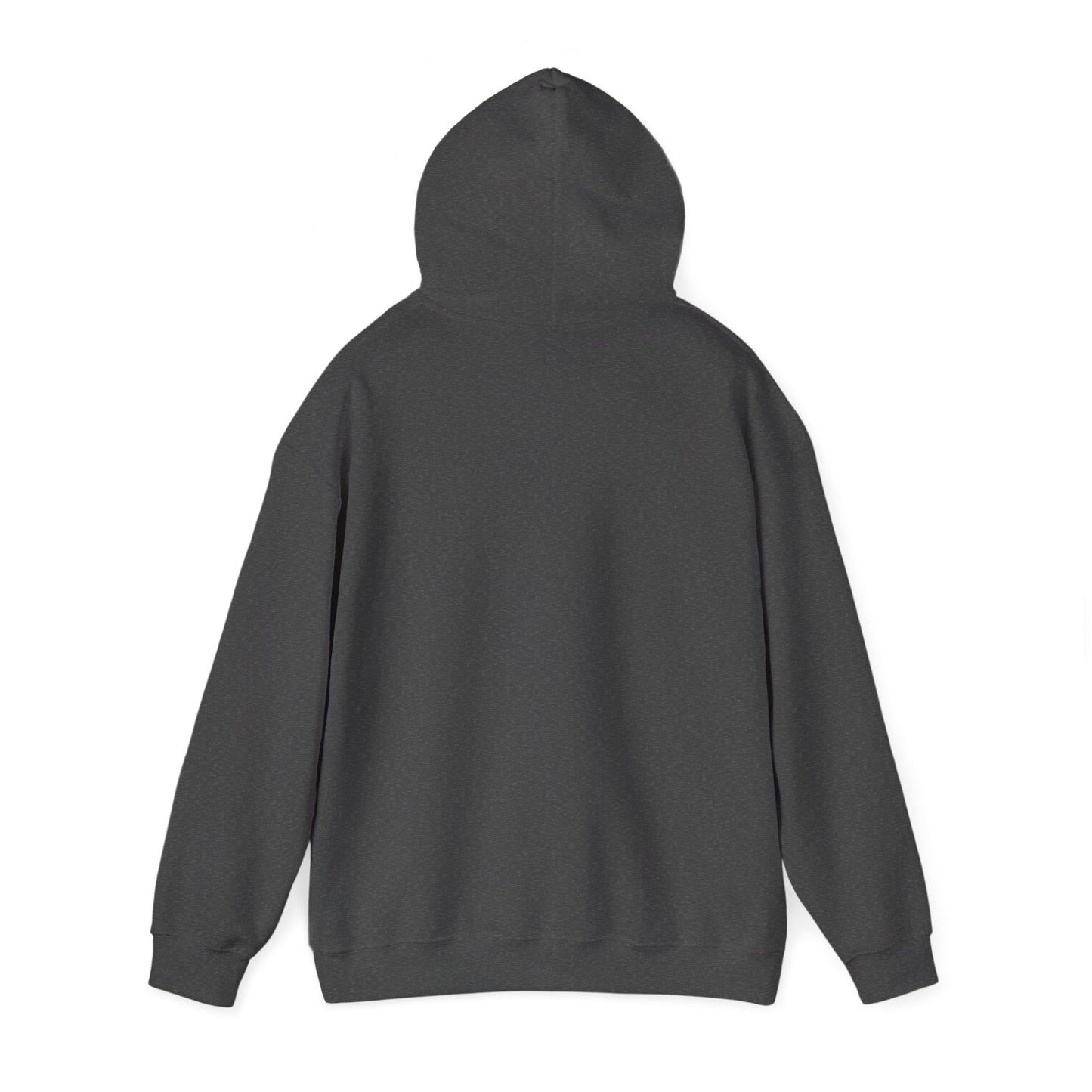 Lion Line Art Hoodie — 'Adventure Begins' Minimalist Graphic Pullover