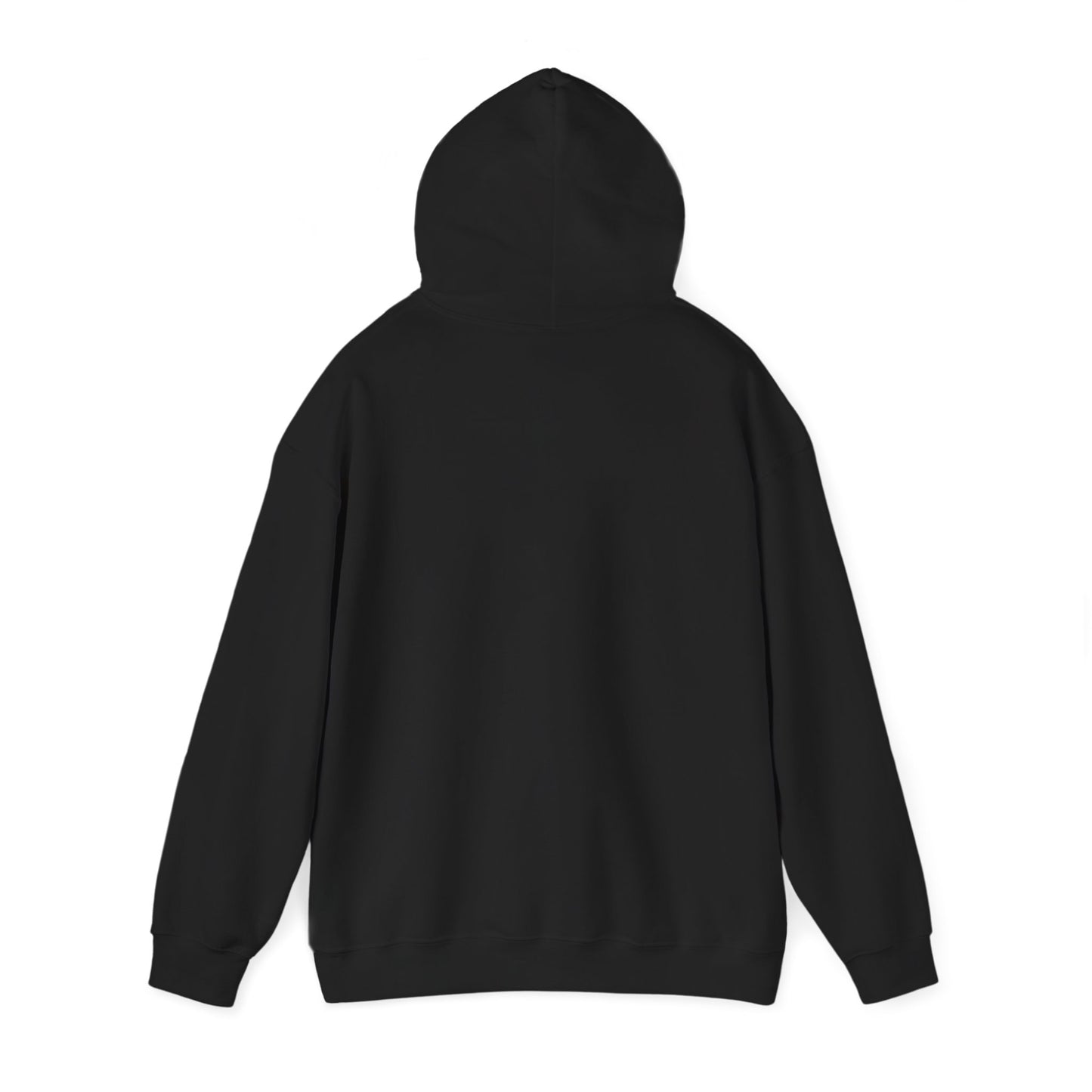 Lion Line Art Hoodie — 'Adventure Begins' Minimalist Graphic Pullover